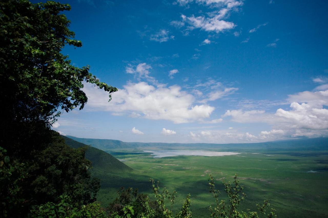 Charming Eco-Homestay Near Kilimanjaro International Airport อารูชา ภายนอก รูปภาพ