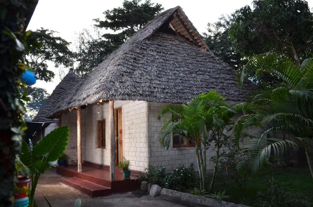 Charming Eco-Homestay Near Kilimanjaro International Airport อารูชา ภายนอก รูปภาพ